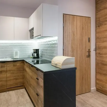 Fancy Apartments With Lift And A/C Краків Екстер'єр фото